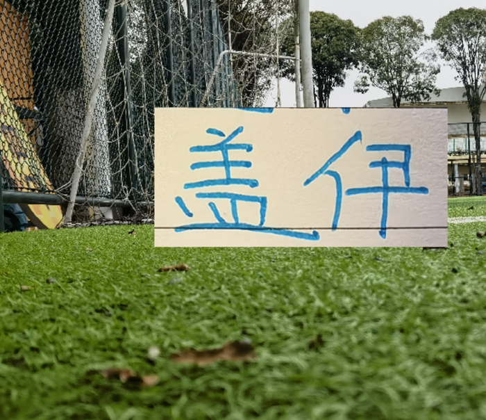 开云-申花1米95非洲前锋已回基地|上海申花|鲁迪·盖伊|西乙|上海申花足球俱乐部|鲁迪-盖伊_新浪体育_新浪新闻